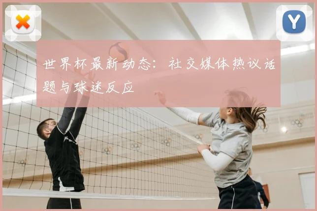 世界杯最新动态:社交媒体热议话题与球迷反应