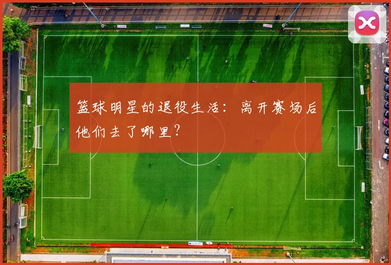 篮球明星的退役生活:离开赛场后他们去了哪里?