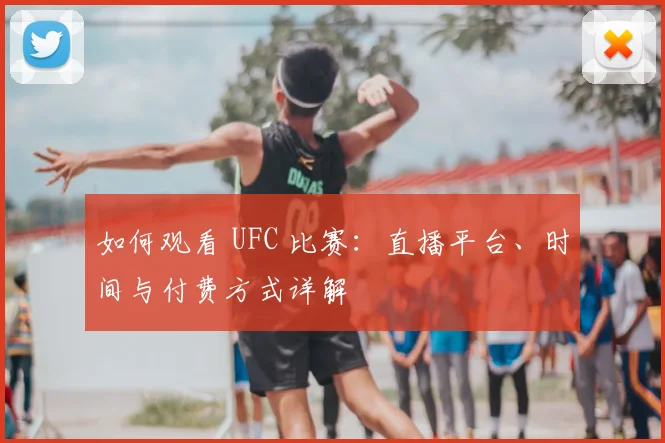 如何观看 UFC 比赛：直播平台、时间与付费方式详解