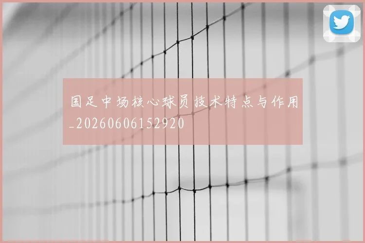 国足中场核心球员技术特点与作用_20260606152920
